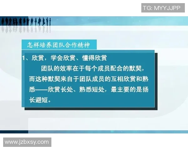 南京排球队的默契配合揭秘：团队精神与技术的完美结合