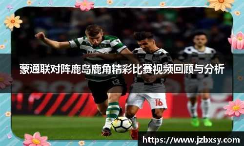 3377体育官网